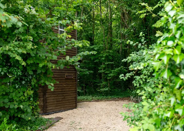 Honeycombe - Treehouse In The Heart Of Dorset