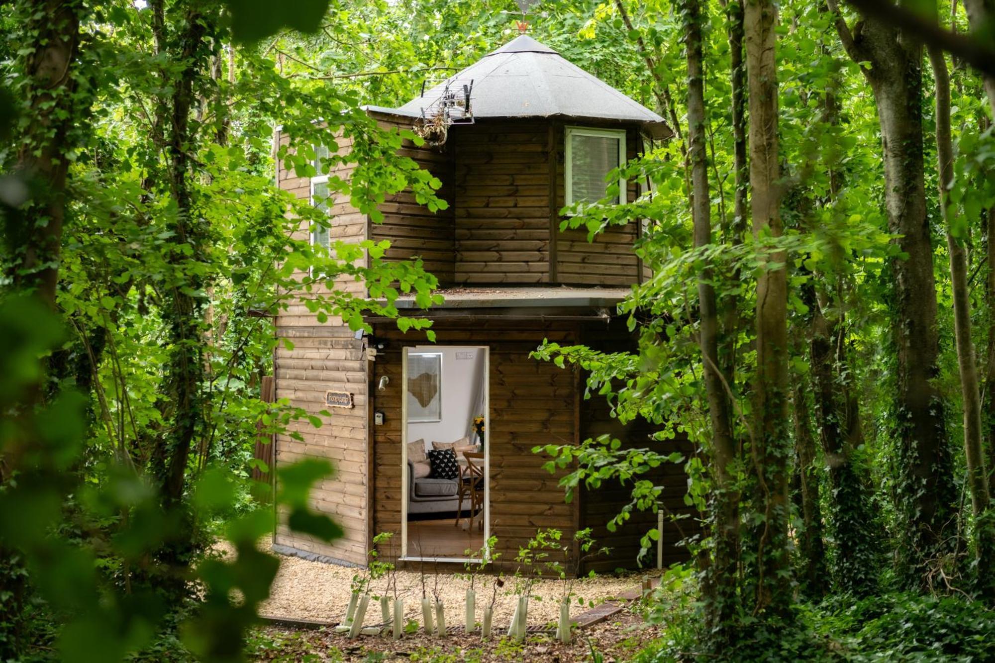 Honeycombe - Treehouse In The Heart Of Dorset Holiday home